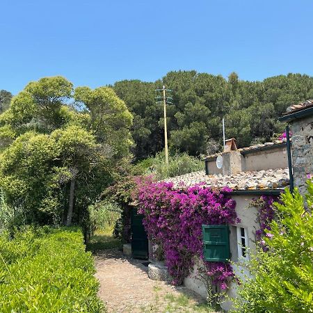 The Old Mill With Private Garden And Torrent Villa Portoferraio Exterior photo