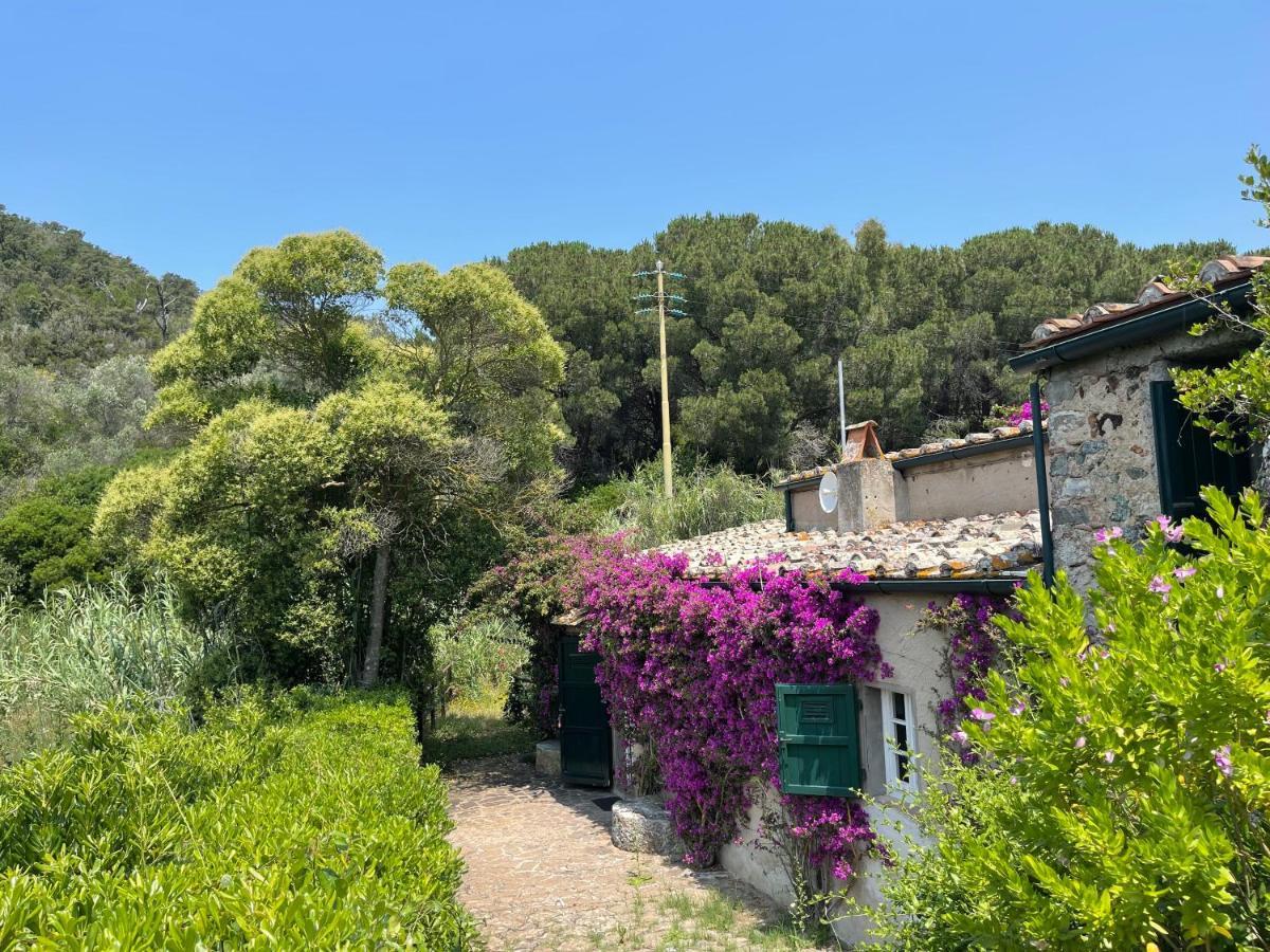 The Old Mill With Private Garden And Torrent Villa Portoferraio Exterior photo