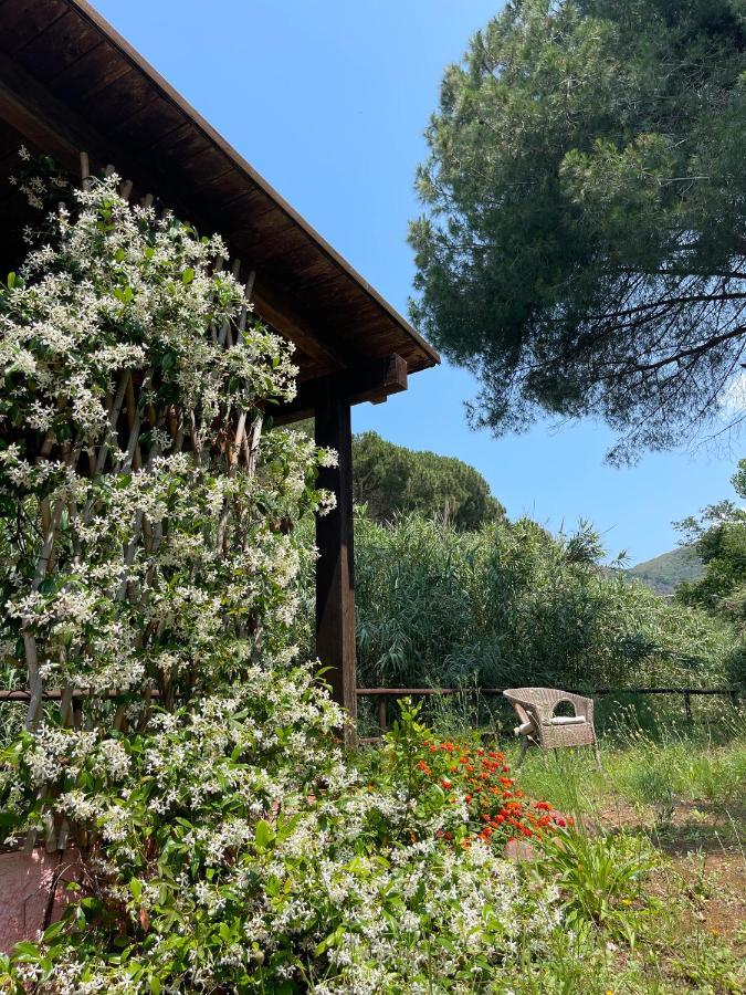 The Old Mill With Private Garden And Torrent Villa Portoferraio Exterior photo