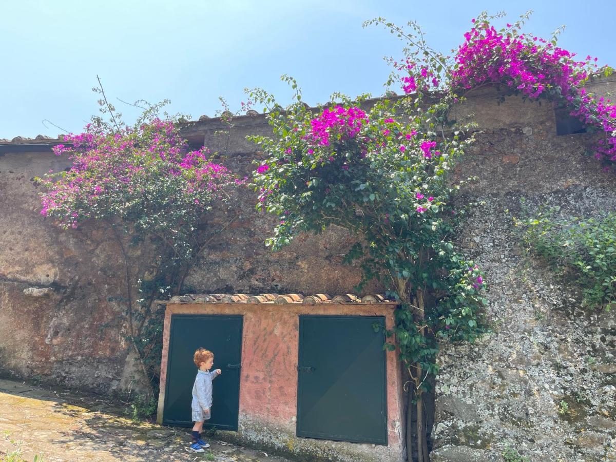 The Old Mill With Private Garden And Torrent Villa Portoferraio Exterior photo