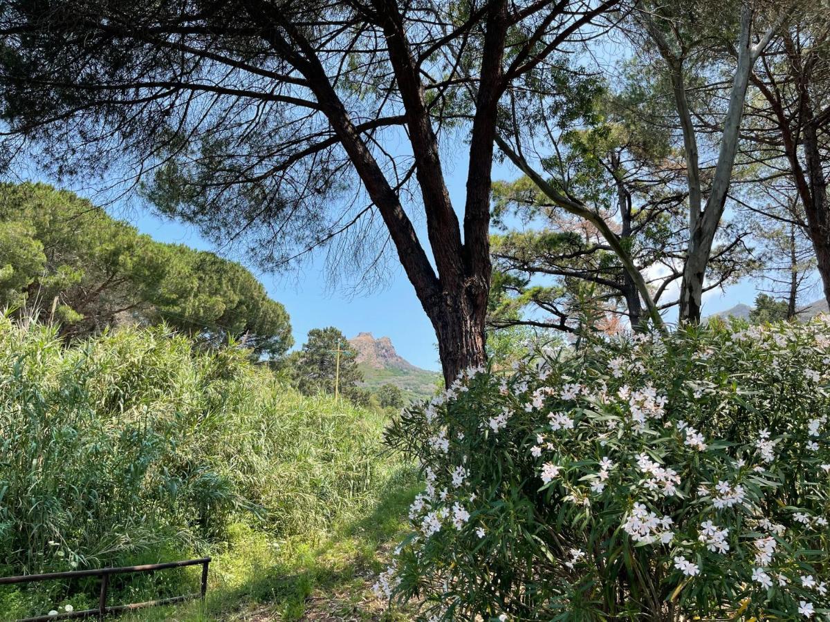 The Old Mill With Private Garden And Torrent Villa Portoferraio Exterior photo